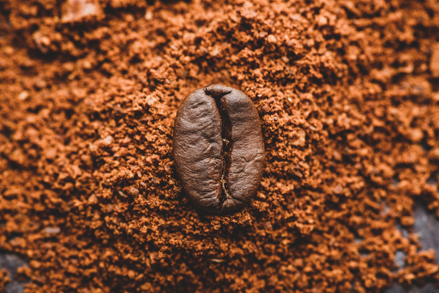 Whole Bean or Ground Coffee? Freshness Decides