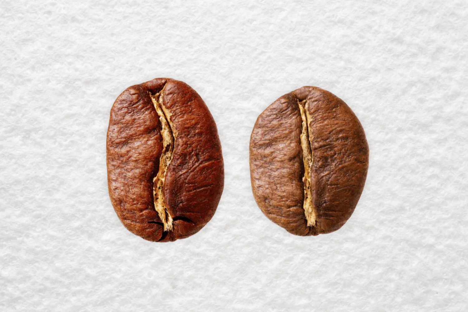 Arabica vs. Robusta: What Is the Difference?