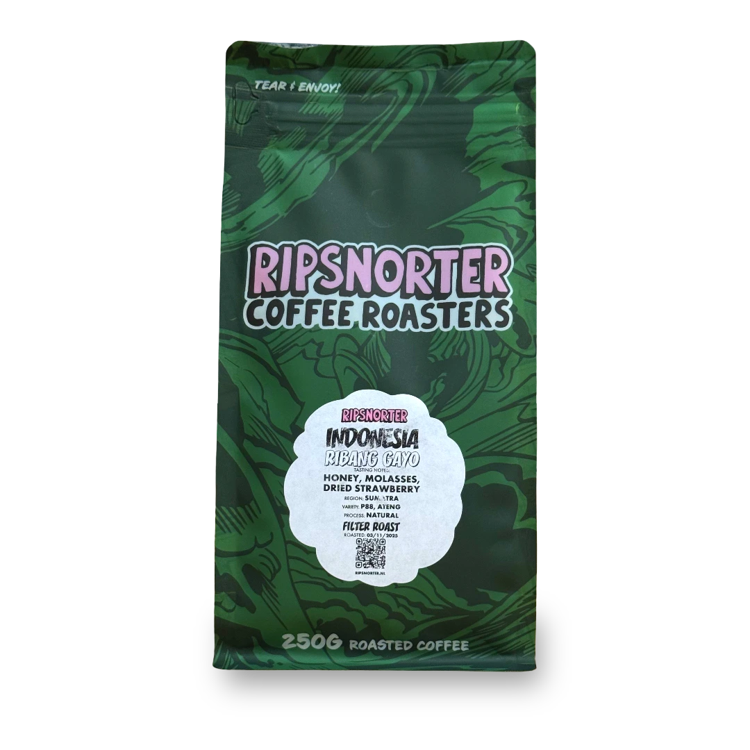 Ribang Gayo, Indonesia