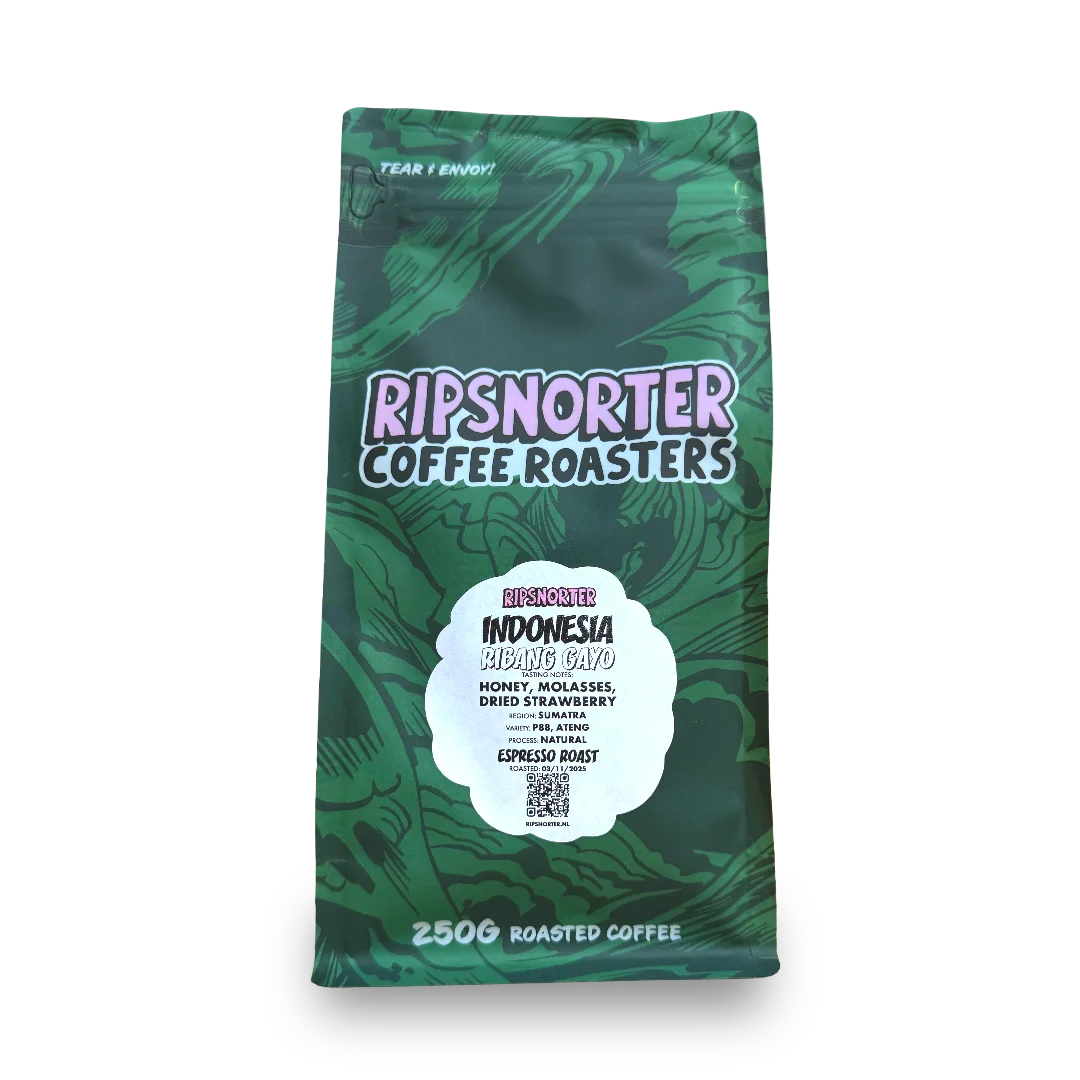 Ribang Gayo, Indonesia