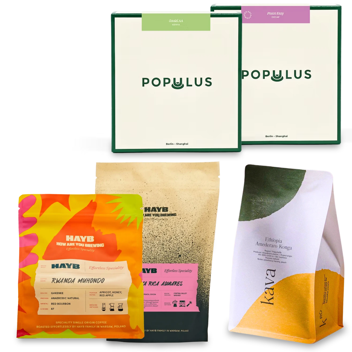 Coffees from the November box